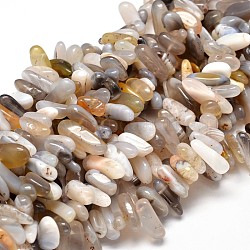 Natural Botswana Agate Nuggets Beads Strands, 8~30x5~12mm, Hole: 1mm, about 15.3 inch~15.7 inch
