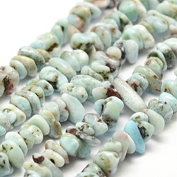 Chapelets de perles en larimar naturel, puce, 2~4x7~8mm, Trou: 1mm, 15.7 pouce (40 cm)