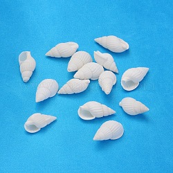 Perline di tromba naturale, misto, bianco, 19~25x10~15x8~11mm, Foro: 1 mm