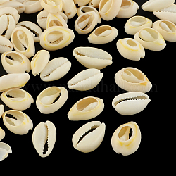 Perles coquillage cauri mélangées naturelles, cauris, papayawhip, 10~17x7~11x3~6mm, environ 800 pcs/500 g