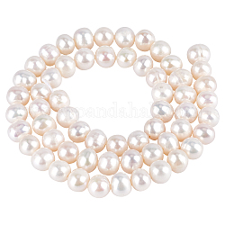 NBEADS 1 Strand Natural Cultured Freshwater Pearl Beads Strands, Round, PeachPuff, 7~8mm, Hole: 0.8mm, about 48pcs/strand, 13.38 inch