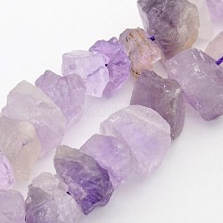Natural Amethyst Nuggets Bead Strands, 12~16x6~15mm, Hole: 1mm, about 15.7 inch