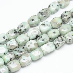 Chapelets de perles en jaspe sésame naturel / jaspe kiwi, cuboïde, 12~15x8~12x8~12mm, Trou: 1.5mm, Environ 27~30 pcs/chapelet, 14.9~15.3 pouce