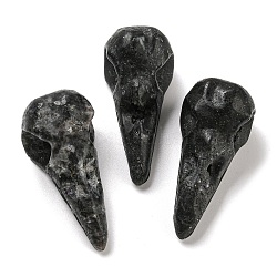 Colgantes de cuarzo negro druzy natural, dijes de calavera con cabeza de pájaro, 47~49x20~22x20~22mm, agujero: 2~2.5 mm