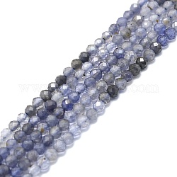 Fili di perle di iolite / cordierite / dicroite naturali, sfaccettato, tondo, 4mm, Foro: 0.8 mm, circa 108pcs/filo, 15.16''~15.55'' (38.5~39.5 cm)
