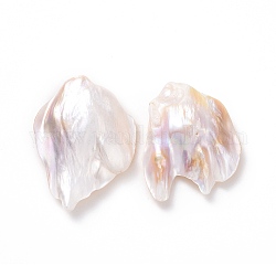 Perline di perle naturali di keshi, perla d'acqua dolce coltivata, Senza Buco / undrilled, pepite, bianco antico, 25~39x21~28x6.5~9mm