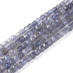 Natural Iolite/Cordierite/Dichroite Beads Strands, Faceted, Cube, 4x4x4mm, Hole: 0.6mm, about 101pcs/strand, 15.35 inch(39cm)