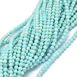 Brins de perles de magnésite naturelle, teints et chauffée, ronde, 4mm, Trou: 0.5mm, Environ 93~94 pcs/chapelet, 15.9~16.1 pouce (40.3~40.8 cm)
