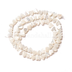 Perle trochid naturali / conchiglie trochus, cuore di pesca, colore conchiglia, 6.5x6.5x2~2.5mm, Foro: 0.8 mm, circa 67pcs/filo, 17.15 pollice (43.55 cm)