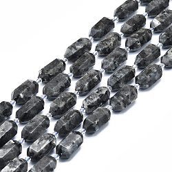 Brins de perles de larvikite naturelles, facette, pointu/puce à double terminaison, 25~27x13~15x12~13mm, Trou: 1.2mm, Environ 12~13 pcs/chapelet, 15.35 pouce (39 cm)