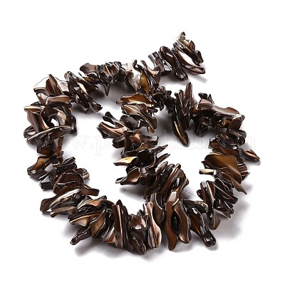 Naturelles trochides coquille brins de perles&nbsp;SSHEL-G023-05A-1
