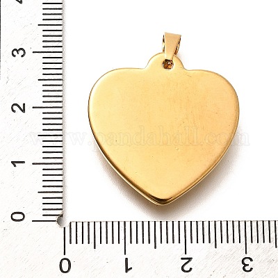 Pendentifs en acier inoxydable 304&nbsp;STAS-B079-03G-03-1