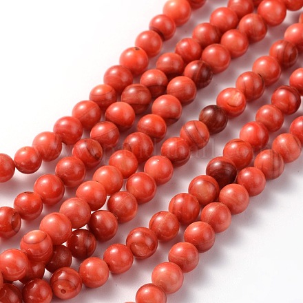Chapelets de perles de coquillage naturel PRB004Y-1