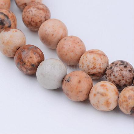 Chapelets de perles en jaspe avec images naturelles G-Q462-8mm-35-1