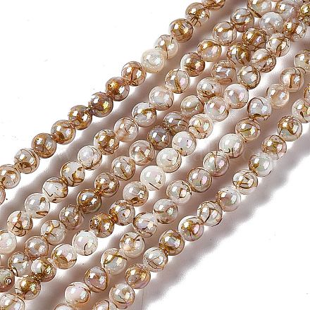 Brins de perles de coquille d'eau douce naturelles de style drawbench SHEL-F003-10A-1