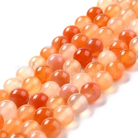 Chapelets de perles en cornaline naturelle G-N0006-8mm-17-1