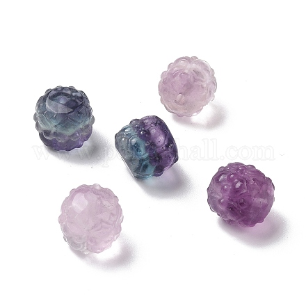 Natural Fluorite Beads G-P483-11-1