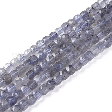 Fili di perle di iolite / cordierite / dicroite naturali G-L537-027-1
