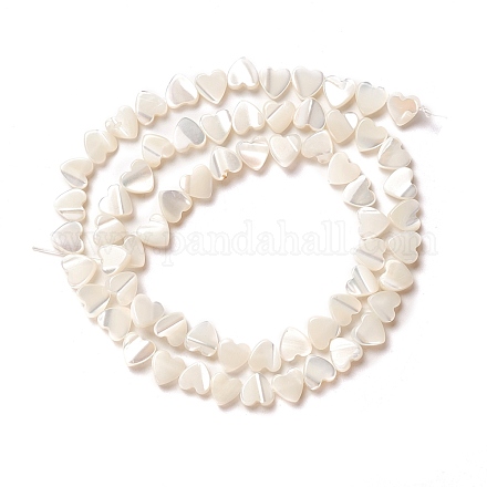 Perle trochid naturali / conchiglie trochus SSHEL-O001-27A-1