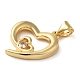 Подвески из прозрачного стекла из латуни KK-M099-06G-2