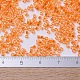 Perles miyuki delica petites SEED-X0054-DBS0151-4