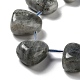 Natur Labradorit Perlen Stränge&nbsp;G-P528-E10-01-3