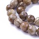 Chapelets de perles en bois pétrifié naturel G-P430-16-C-3