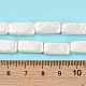 Perles de perles de coquille galvanoplastie&nbsp;BSHE-C007-C01-01-5