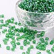 Ornaland 6/0 Glass Seed Beads SEED-OL0003-10-4mm-16-1