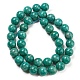 Natural Amazonite Beads Strands G-P503-10MM-10-3