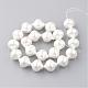 Chapelets de perles en coquille PEAR-R064-64-2