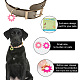 Etiqueta de identificación de perro de mascota de acrílico en blanco transparente PALLOY-AB00041-5