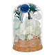 PH PandaHall Glass Display Dome Cloche AJEW-WH0307-70-8