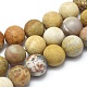 Natural Fossil Coral Beads Strands G-I254-01B-1