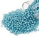 Toho perles de rocaille rondes X-SEED-TR08-0930-1