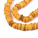 Chapelets de perles de coquille de trochid / trochus coquille X-SHEL-S258-081-B10-3