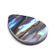 Cabochon di conchiglia abalone naturale / paua shell X-SSHEL-L017-002-2