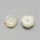 Natural White Shell Mother of Pearl Shell Cabochons SSHEL-R042-10-2