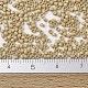MIYUKI Delica Beads SEED-X0054-DB2364-4