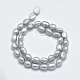 Brins de perles de culture d'eau douce naturelles X-PEAR-K003-19E-2