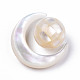 Ensemble de perles de coquillage blanc naturel SSHEL-N032-51-B01-4