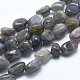 Natural Labradorite Beads Strands G-E483-60-1