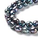 Natural Cultured Freshwater Pearl Beads Strands PEAR-Z002-24-3