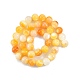 Fili di perline di conchiglia giallo dorato naturale SSHEL-G024-01E-2