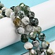 Natural Tree Agate Beads Strands G-C085-A03-01-2