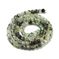 Perline Prehnite naturale fili&nbsp;LS-G-B088-E16-04