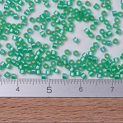 Perles miyuki delica&nbsp;X-SEED-J020-DB0691