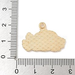 Anhänger aus Legierung zum Erntedankfest&nbsp;ENAM-R007-01G-04