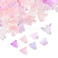 Capuchons de perles en acrylique de styles mixtes&nbsp;OACR-FS0002-50A
