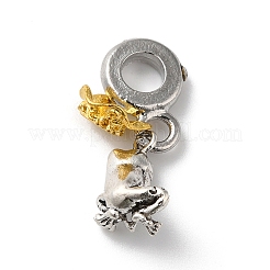 Charms pendenti europei con strass trasparenti in lega&nbsp;MPDL-R050-01AS-01